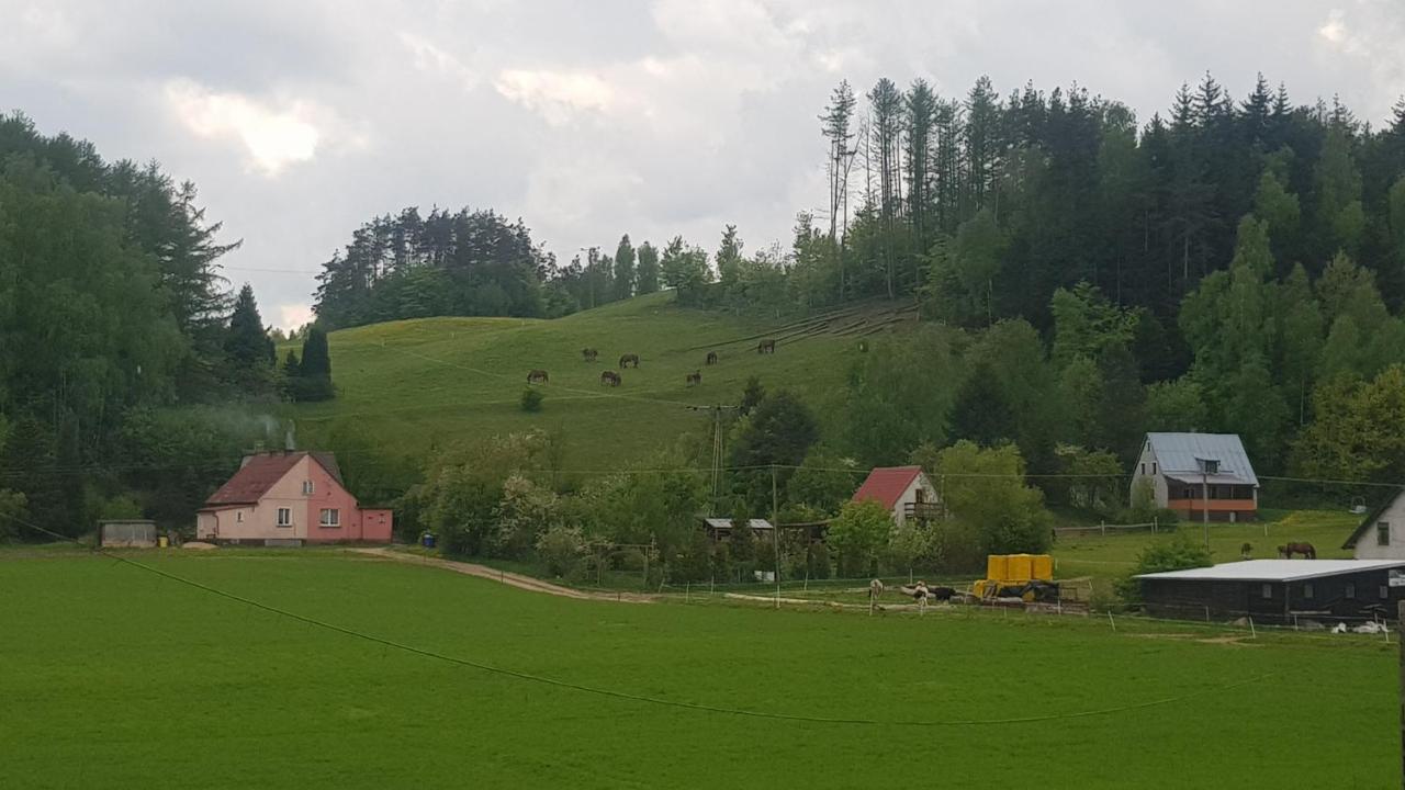 Przystanek Patulskie Pierszczewo Bagian luar foto