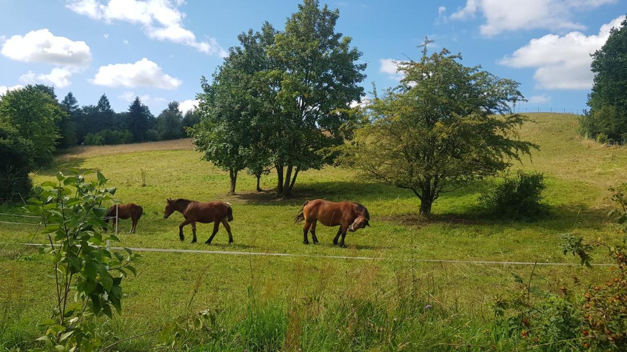 Przystanek Patulskie Pierszczewo Bagian luar foto