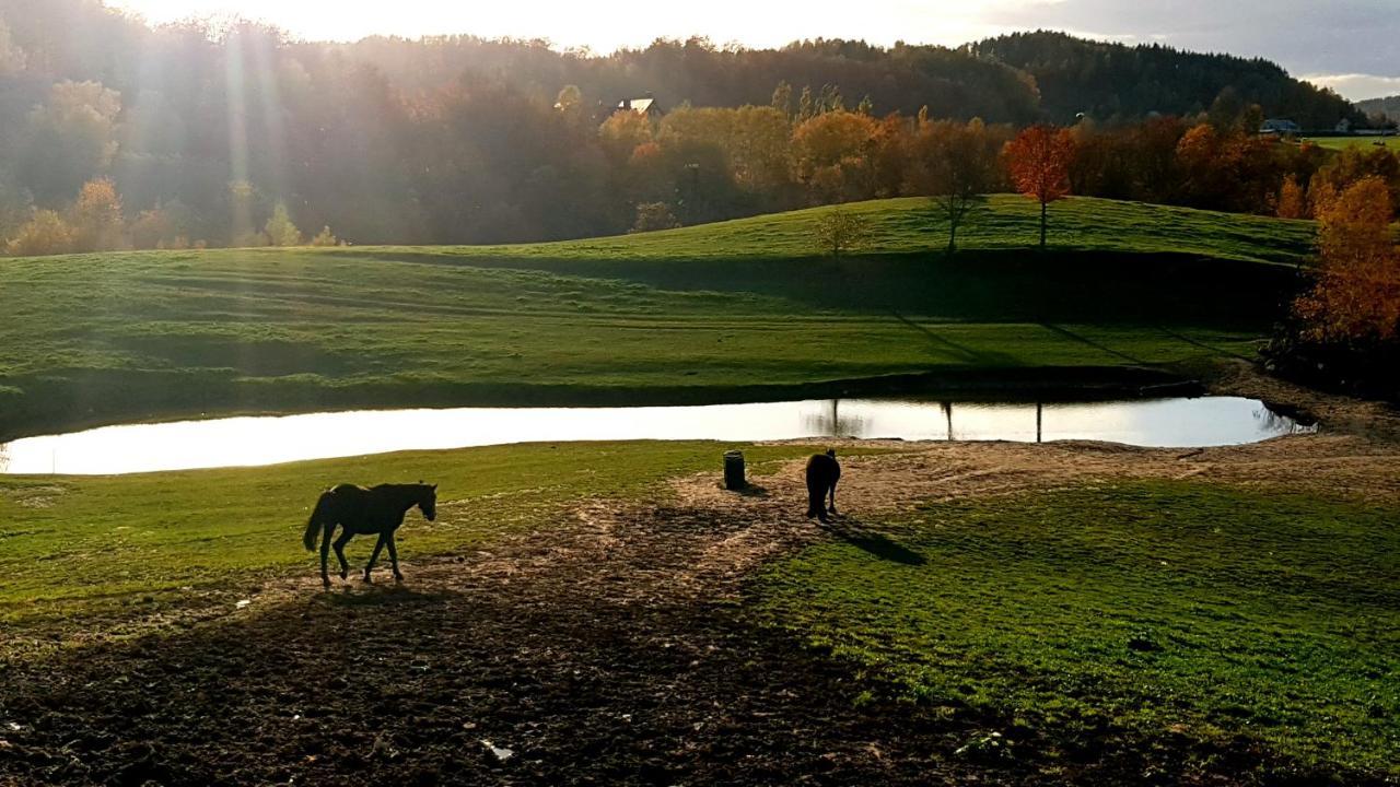 Przystanek Patulskie Pierszczewo Bagian luar foto